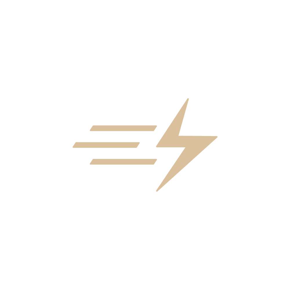 fast lightning bolt icon for same-day pickup